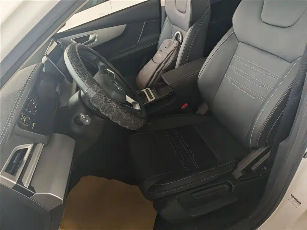 BYD Qin 2019 1.5L Automatic Prestige фото 15
