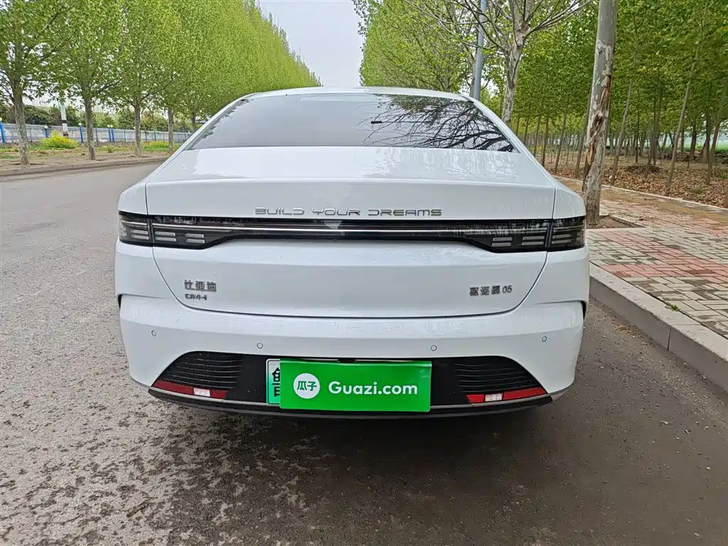 BYD Destroyer 05 2024 Glory Edition DM-i 55KM Luxury фото 4