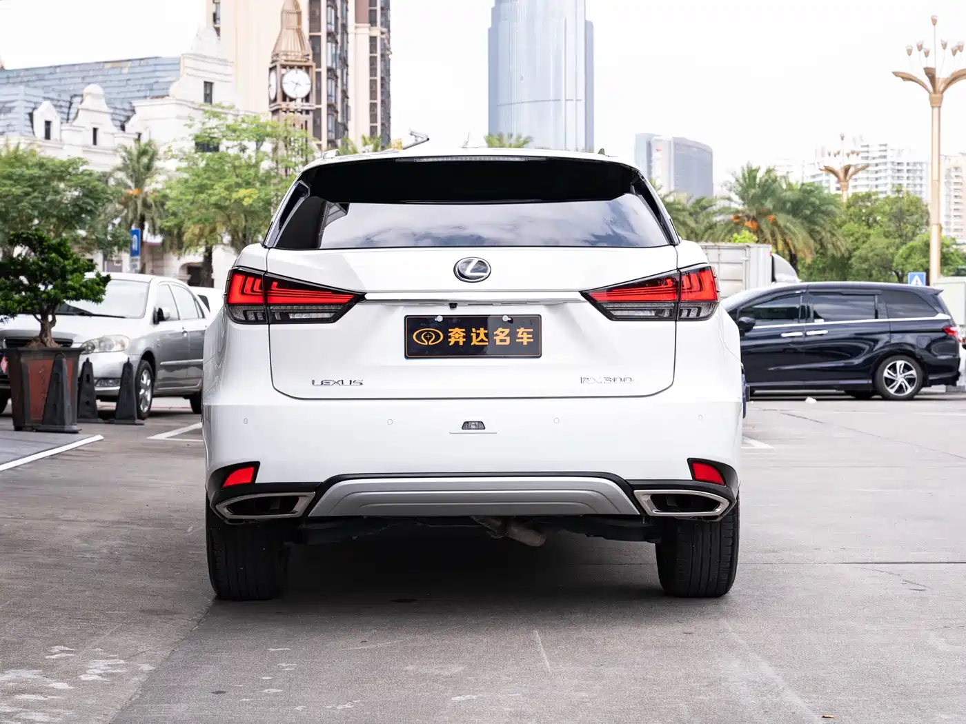 LEXUS RX