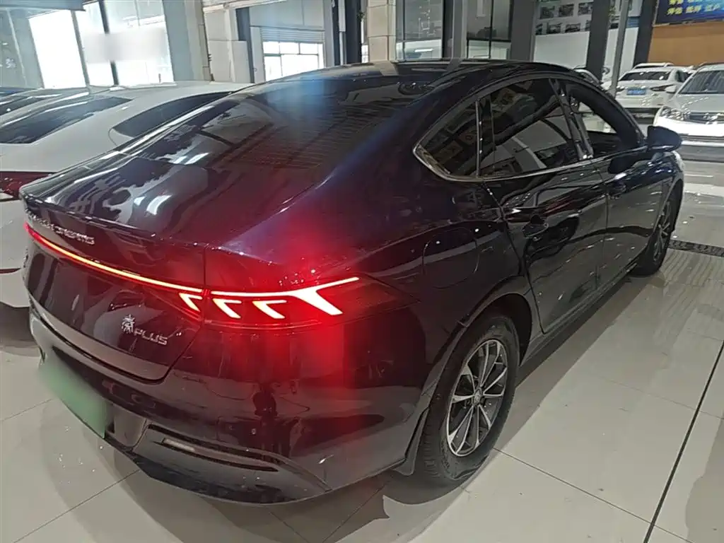 BYD Qin PLUS 2024 Glory Edition DM-i 55KM Leading фото 7