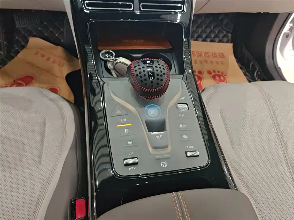 BYD Qin PLUS 2024 Glory Edition DM-i 55KM Leading фото 14