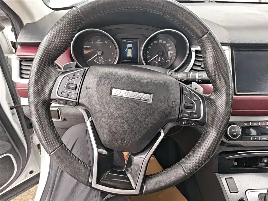 Haval H6 Coupe 2018 Red Label 1.5T Auto 2WD Ultra Luxury фото 11