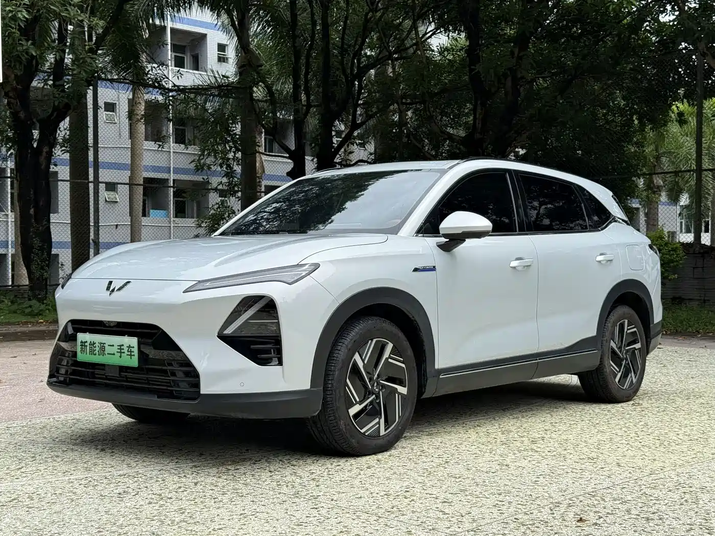 Wuling Motors Wuling Xingguang S 2025 130km High-Power Flagship