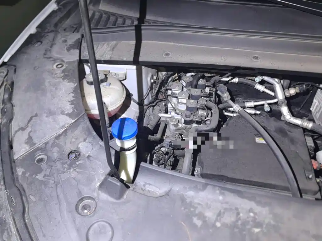 BYD Yuan PLUS 2022 430KM Premium 21