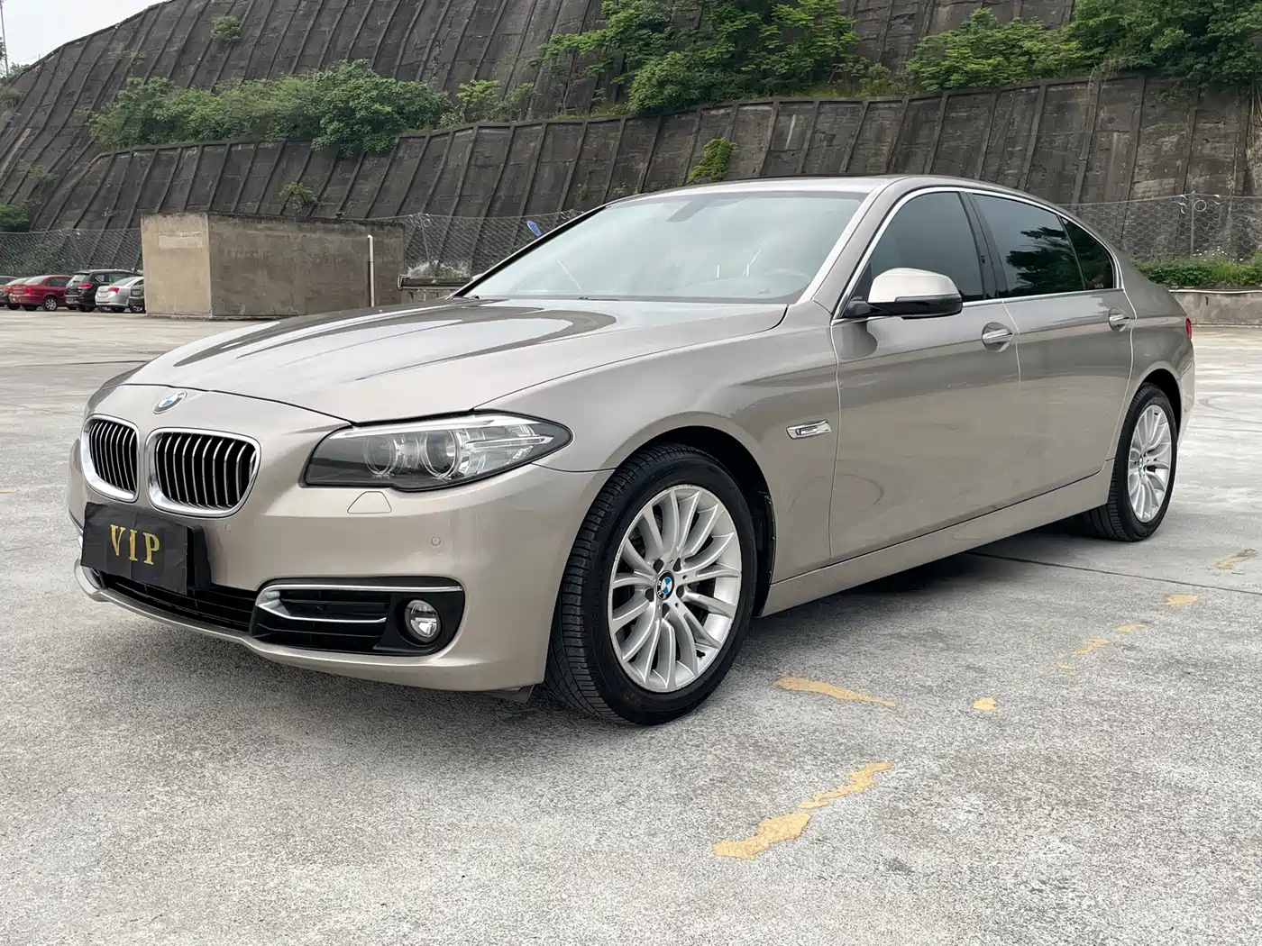 BMW 5 Series 2014 525Li Luxury Design Package