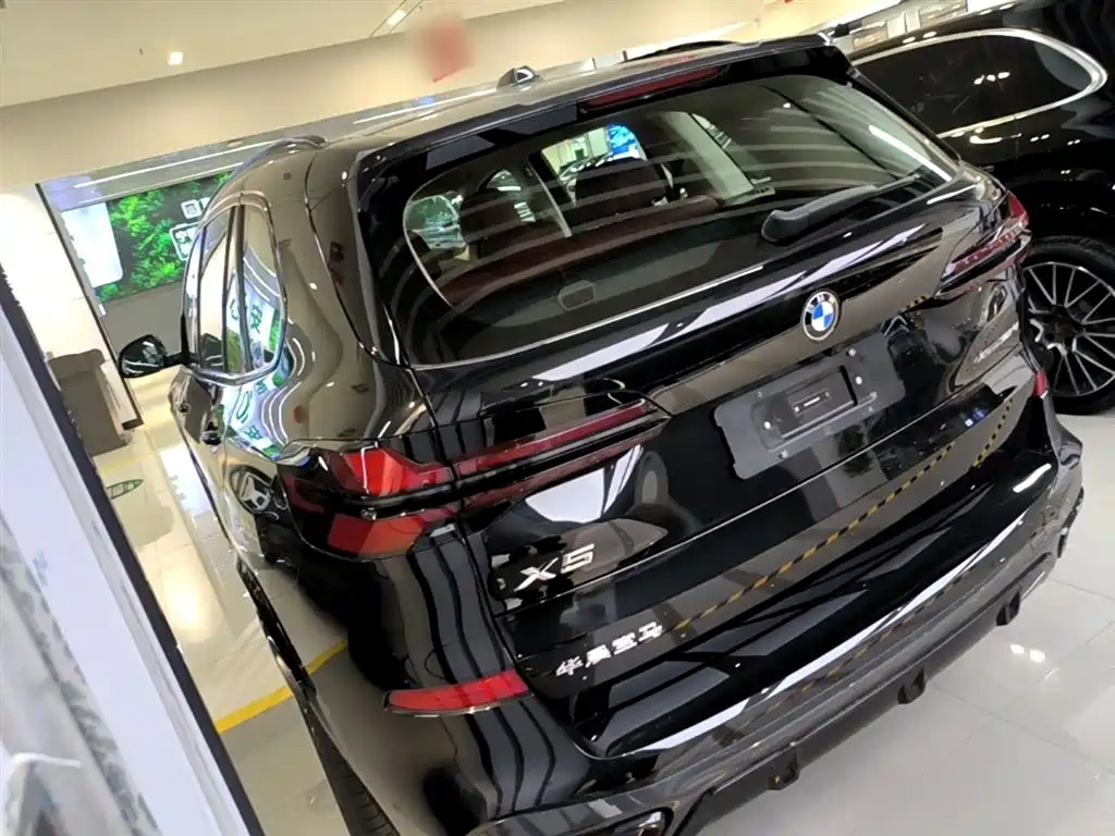 BMW X5 2023 xDrive 30Li Premium M Sport Black Night Package фото 23