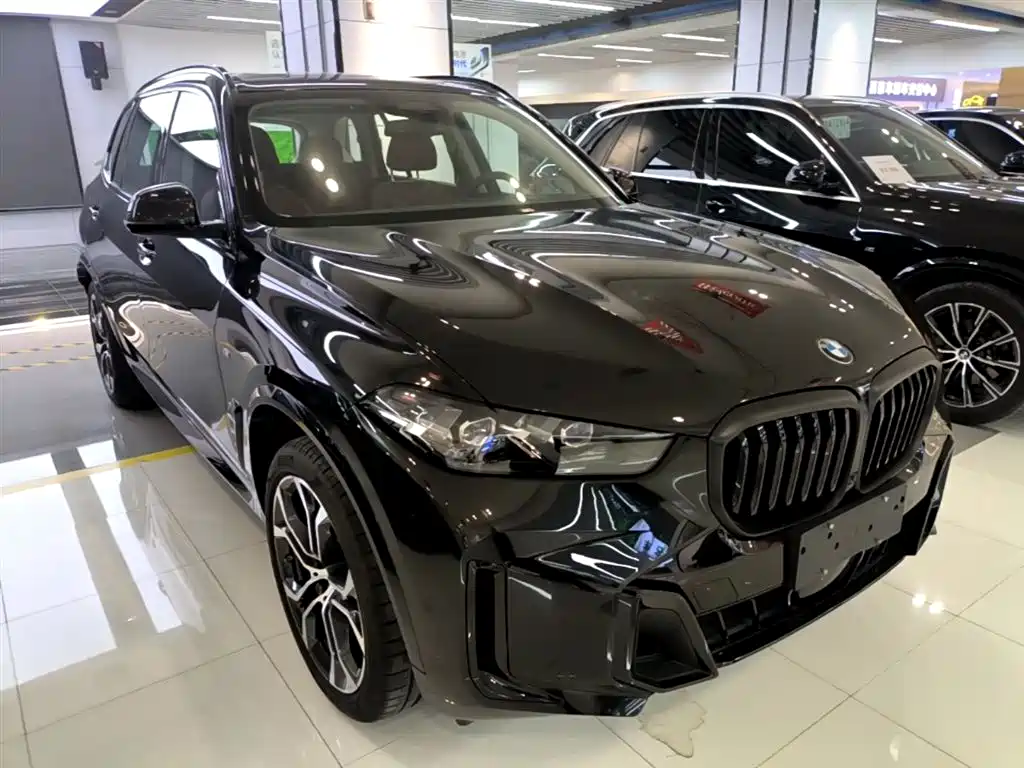 BMW X5 2023 xDrive 30Li Premium M Sport Black Night Package фото 22