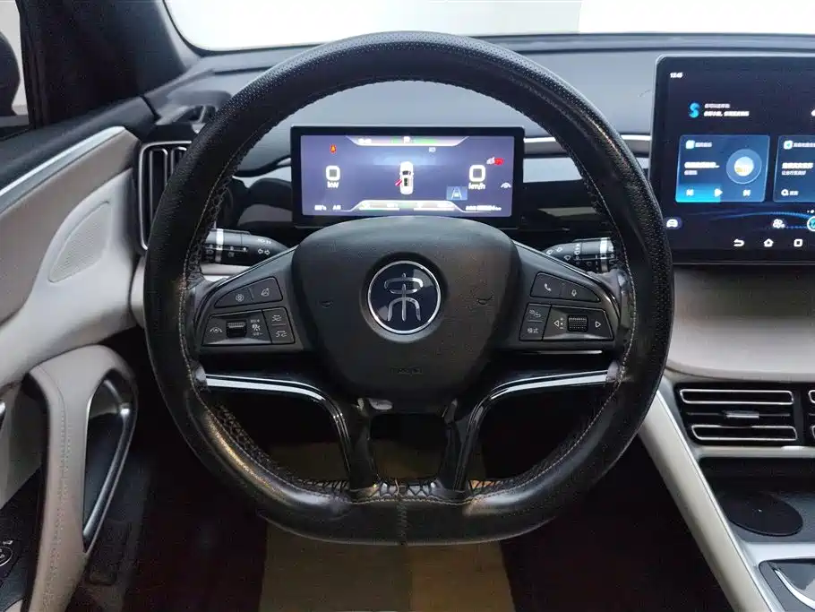 BYD Song Pro New Energy 2024 Glory Edition DM-i 110KM Surpassing фото 15