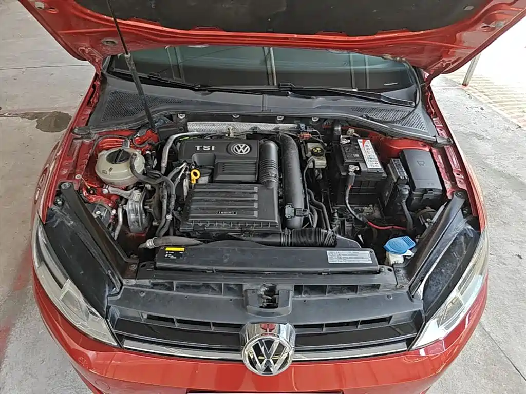 Volkswagen Golf 2017 230TSI Auto Comfort Millionth Anniversary Edition фото 20