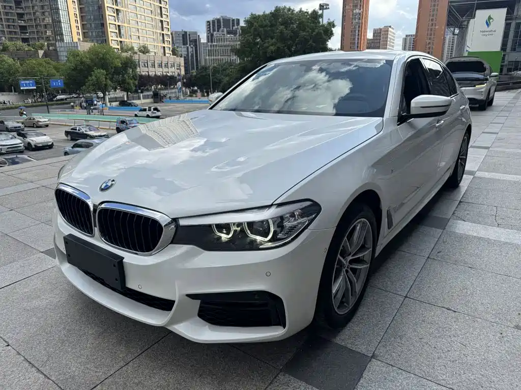 BMW 5 Series 2019 525Li M Sport Package