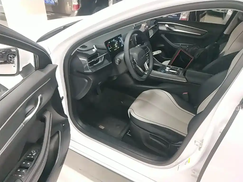 BYD Destroyer 05 2024 Glory Edition DM-i 55KM Luxury фото 16
