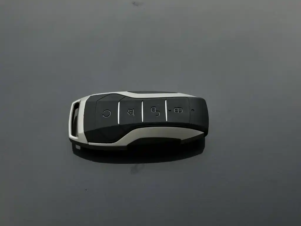 BYD Song Pro, миниатюра 19