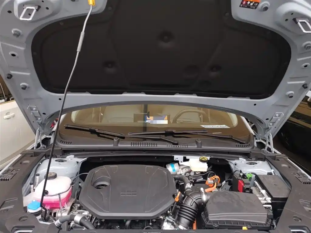 Geely Galaxy Galaxy L6 2025 EM-i 60km Voyage Edition фото 20