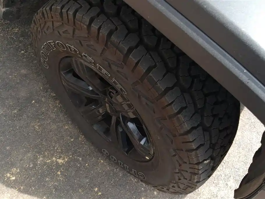 Tank 300 2021 Off-road Edition 2.0T Challenger фото 6