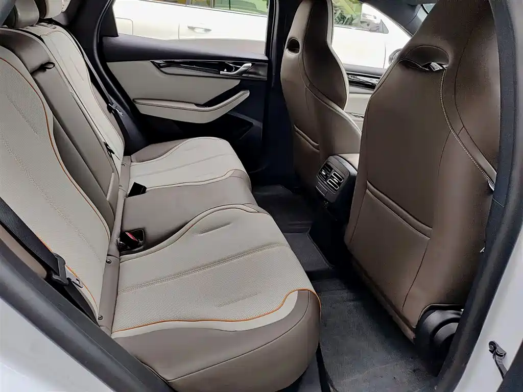 BYD Qin PLUS 2024 Glory Edition EV 420KM Leading фото 11