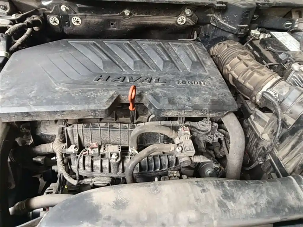Haval Big Dog 2021 1.5T DCT 2WD Husky Edition фото 11