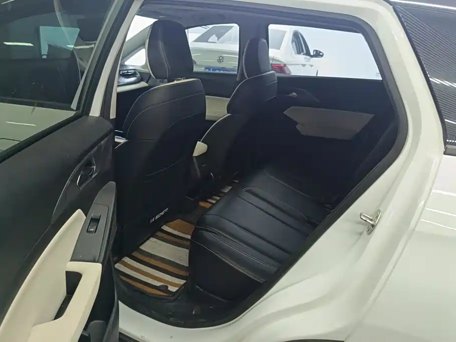 Geely Geometry E Firefly 2024 2024 Model 301km Starlight