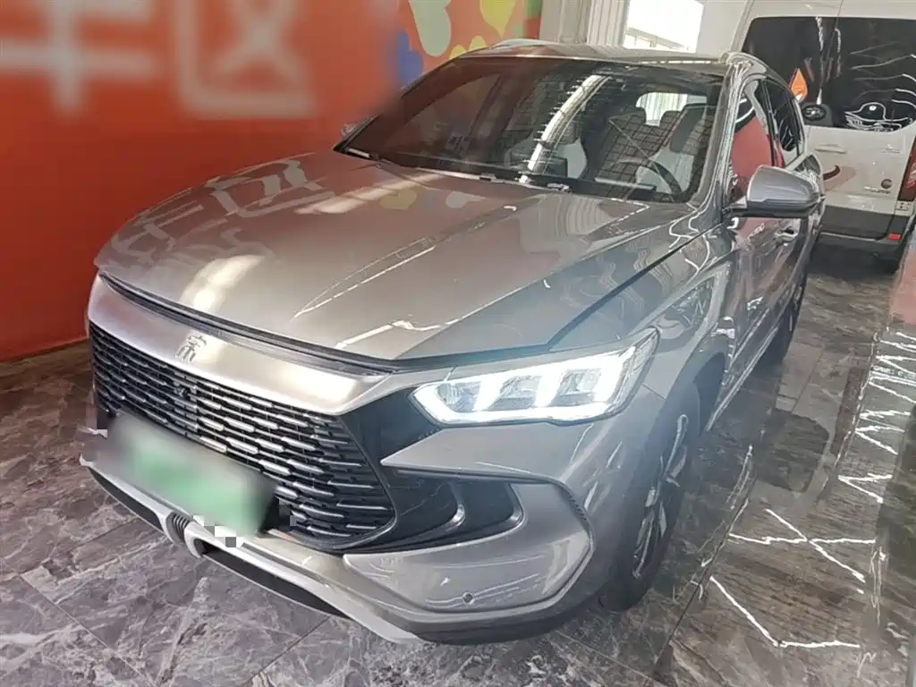 BYD Song Pro New Energy 2024 Glory Edition DM-i 71KM Pilot фото 2