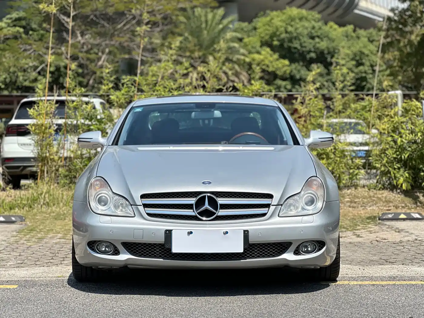 Mercedes-Benz CLS 2009 CLS 350 фото 2