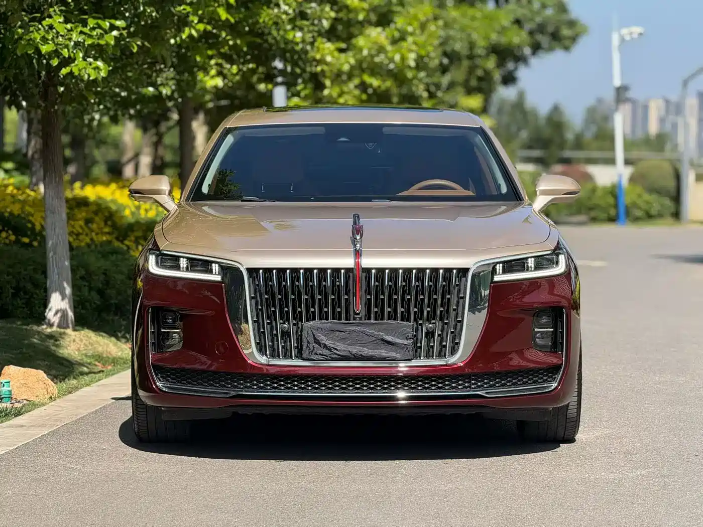 Hongqi H9 2023 Model 2.0T Smart Connect Flagship Edition фото 2