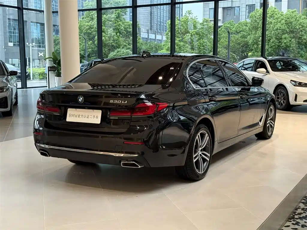 BMW 5 Series 2021 530Li Leading Luxury Package фото 16
