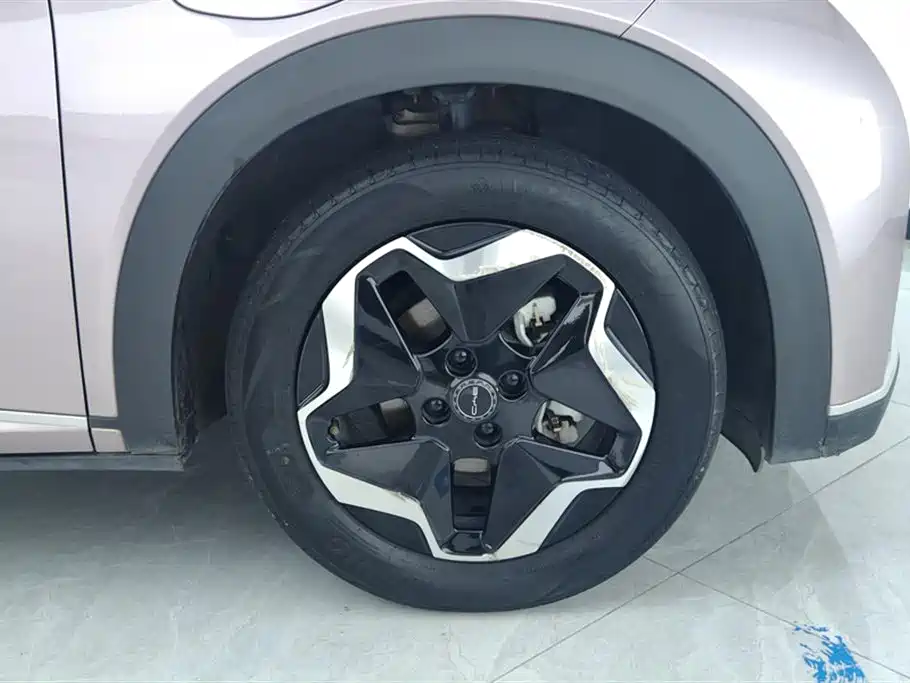 BYD Dolphin 2021 Model 405km Fashion Edition фото 6