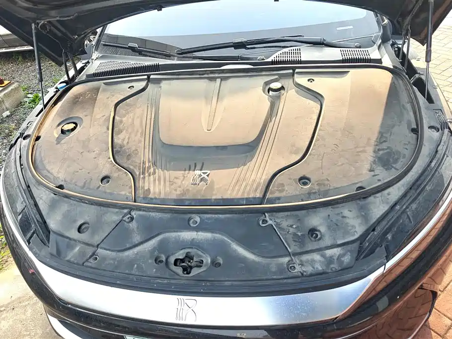 BYD Han 2020 EV Extended Range Premium фото 10