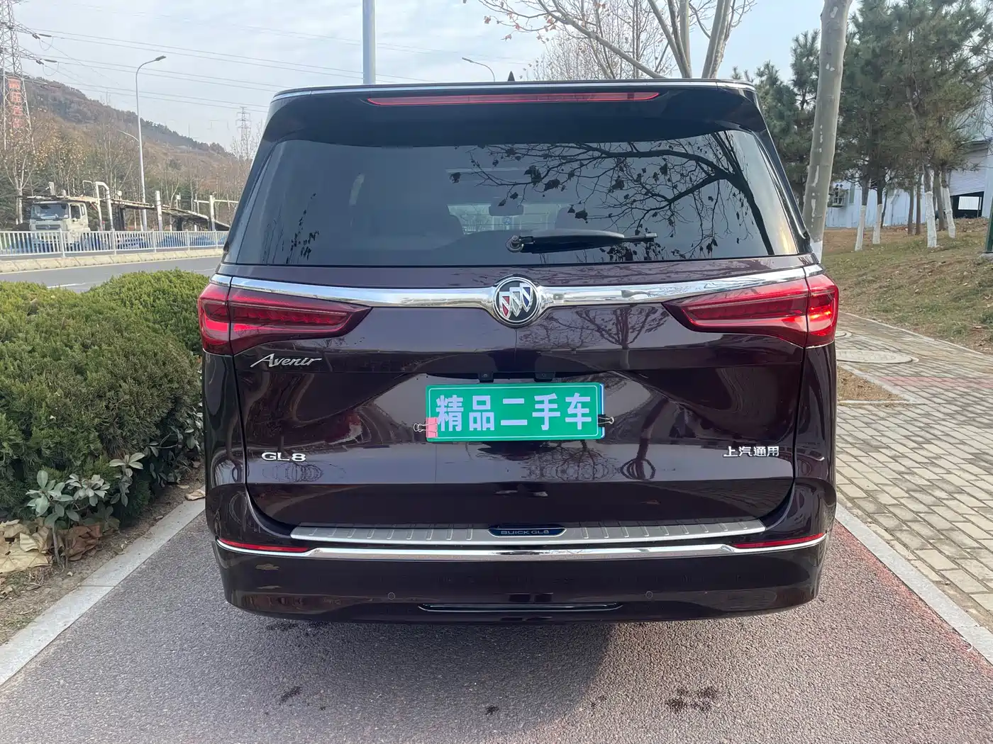 Buick GL8 2020 Avenir Six-Seat Elegance Edition фото 5