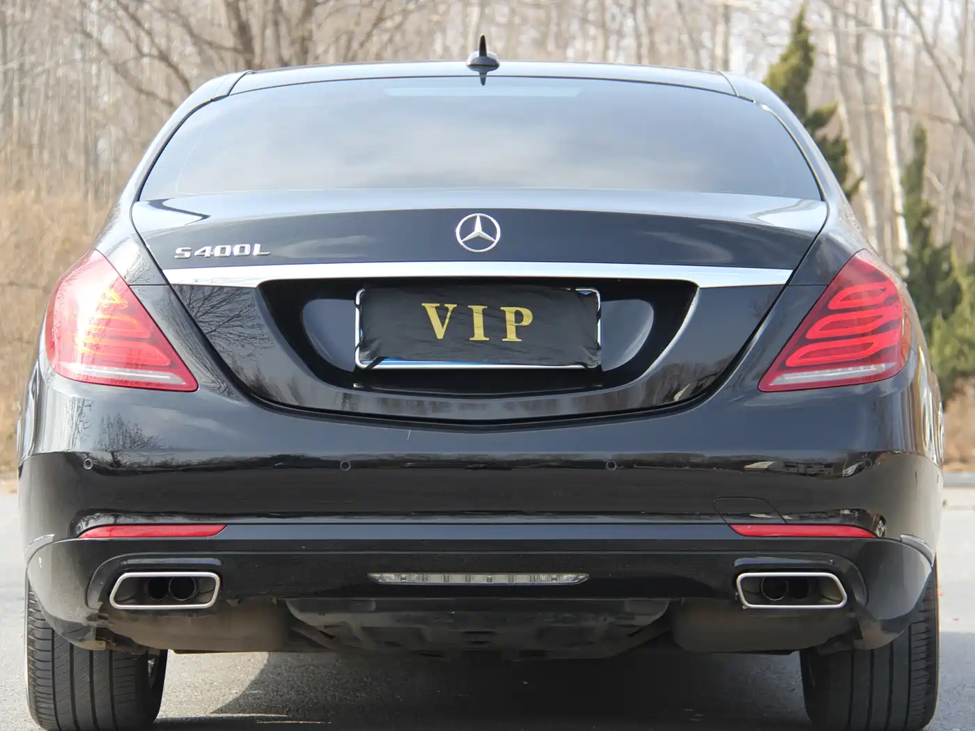 Mercedes-Benz S-Class 2016 S 320 L Luxury фото 5