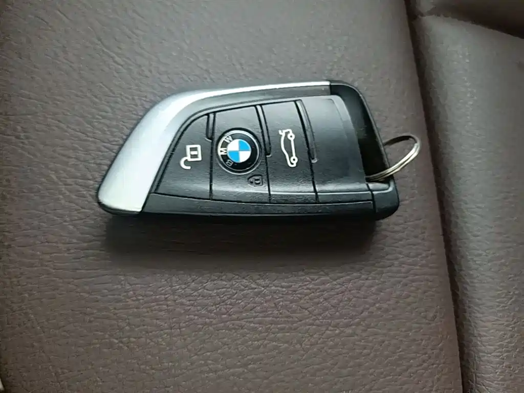 BMW X1 NEW ENERGY