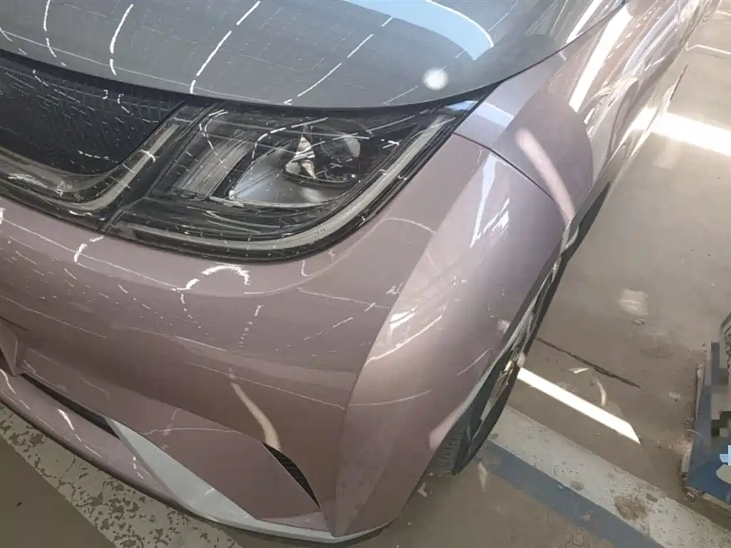 BYD Dolphin 2021 Model 405km Fashion Edition фото 23