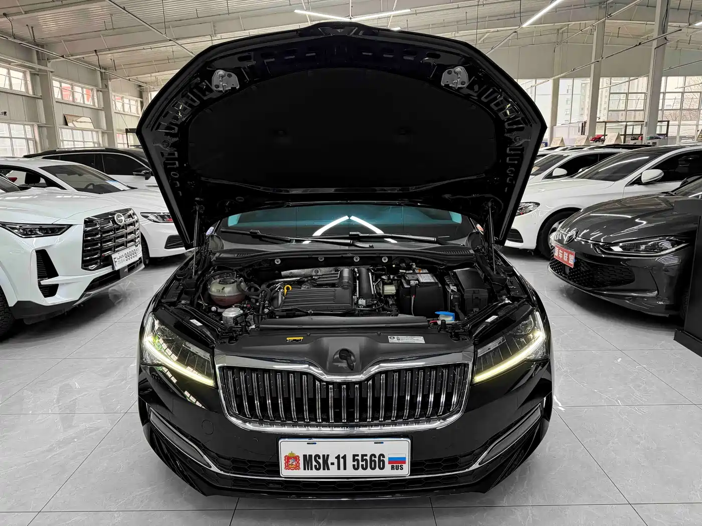 SKODA SPEED PIE