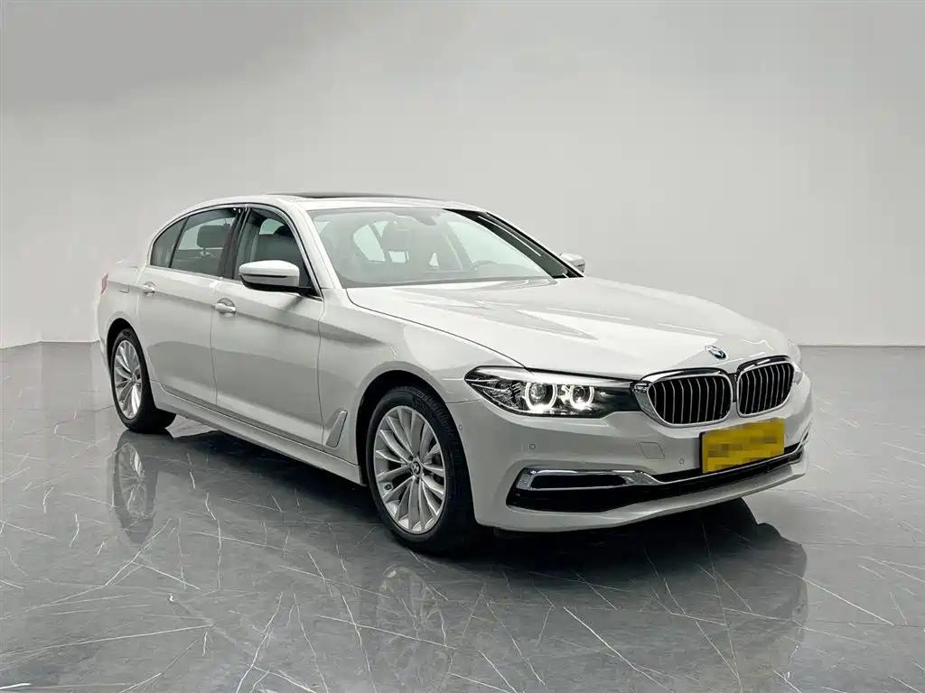 BMW 5 Series 2020 525Li Luxury Package фото 8