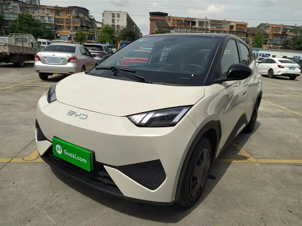 BYD Seagull 2025 Smart Drive Edition 305km Vitality Version