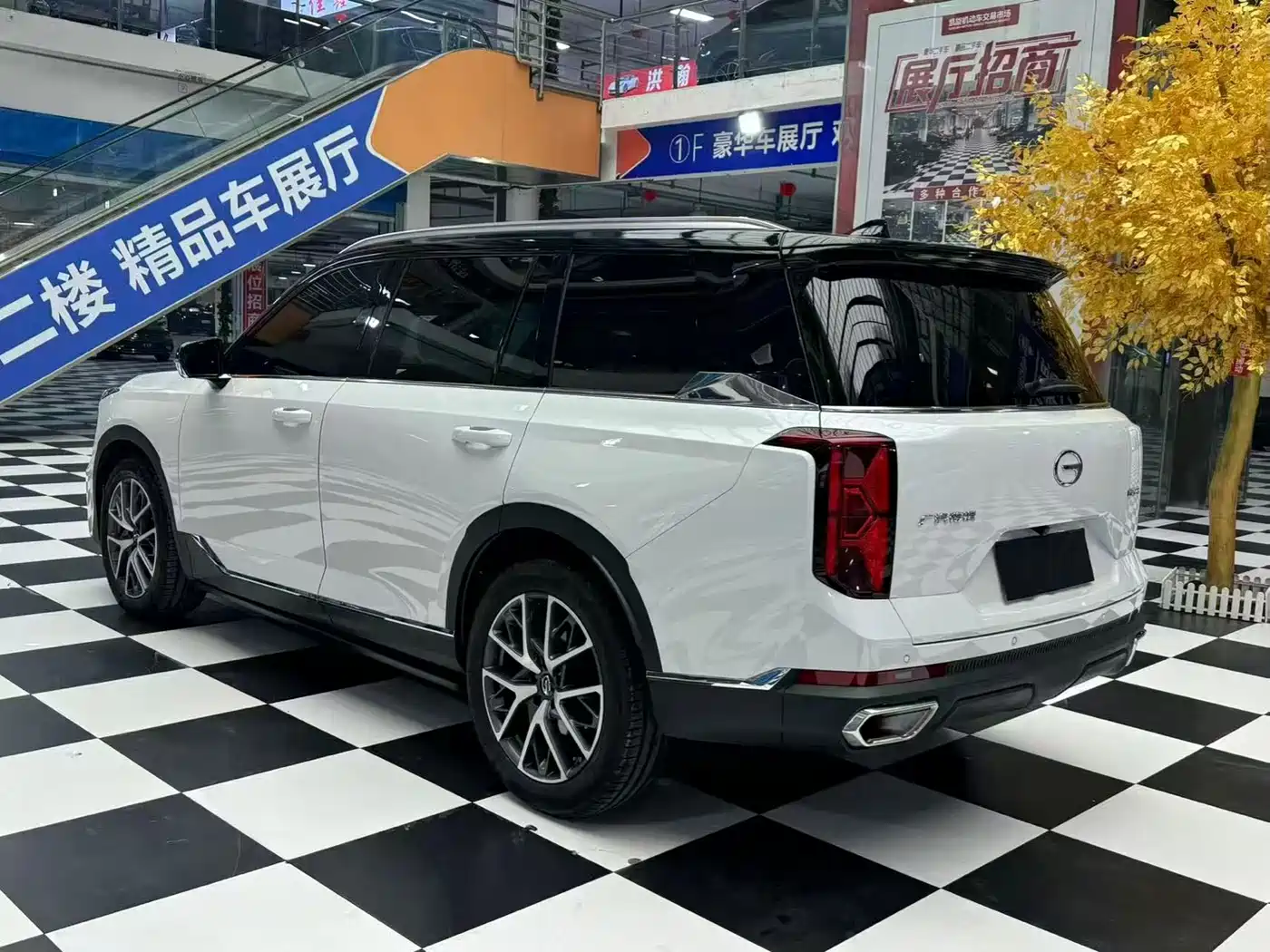 GAC Trumpchi Trumpchi GS8 2025 Pilot Series 2.0TGDI 2WD Luxury Edition 5-seater фото 9