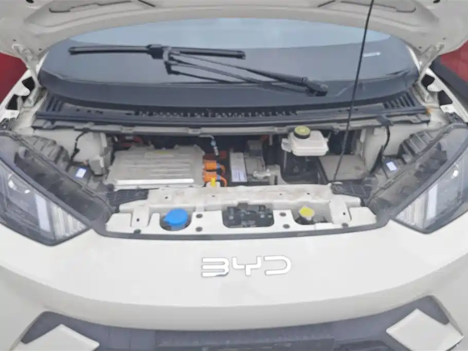 BYD Seagull 2024 Glory Edition 305km Vitality Edition фото 10