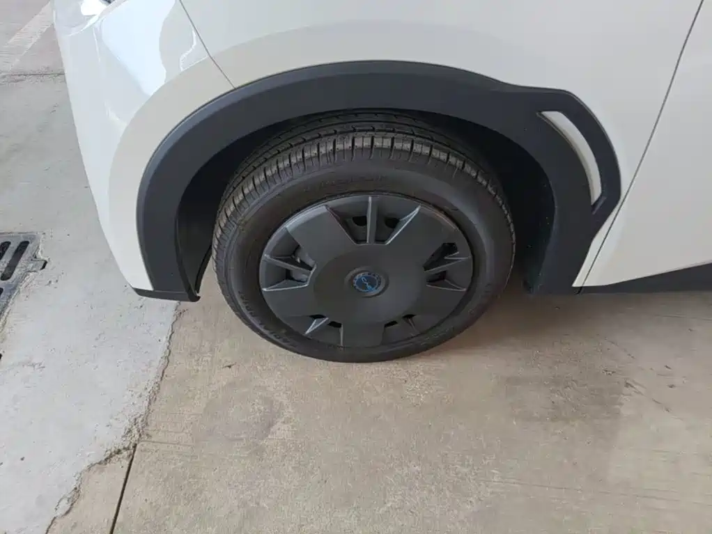 BYD Seagull 2026 2025 Smart Drive Edition 305km Vitality Version
