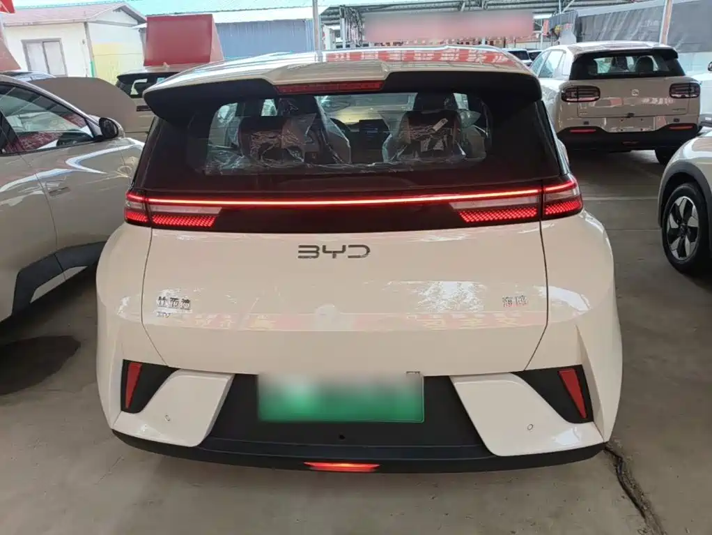 BYD Seagull 2026 2025 Smart Drive Edition 305km Vitality Version