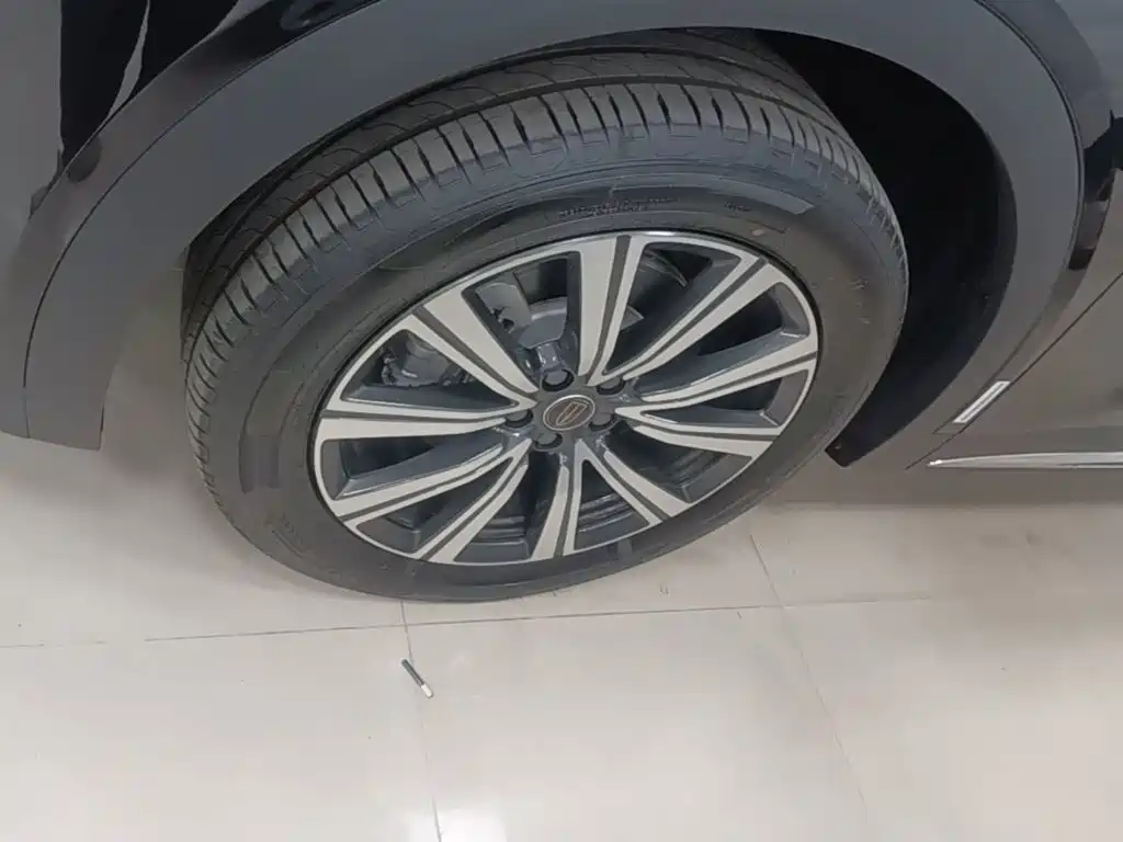 Photo 23 - Hongqi HS7 PHEV
