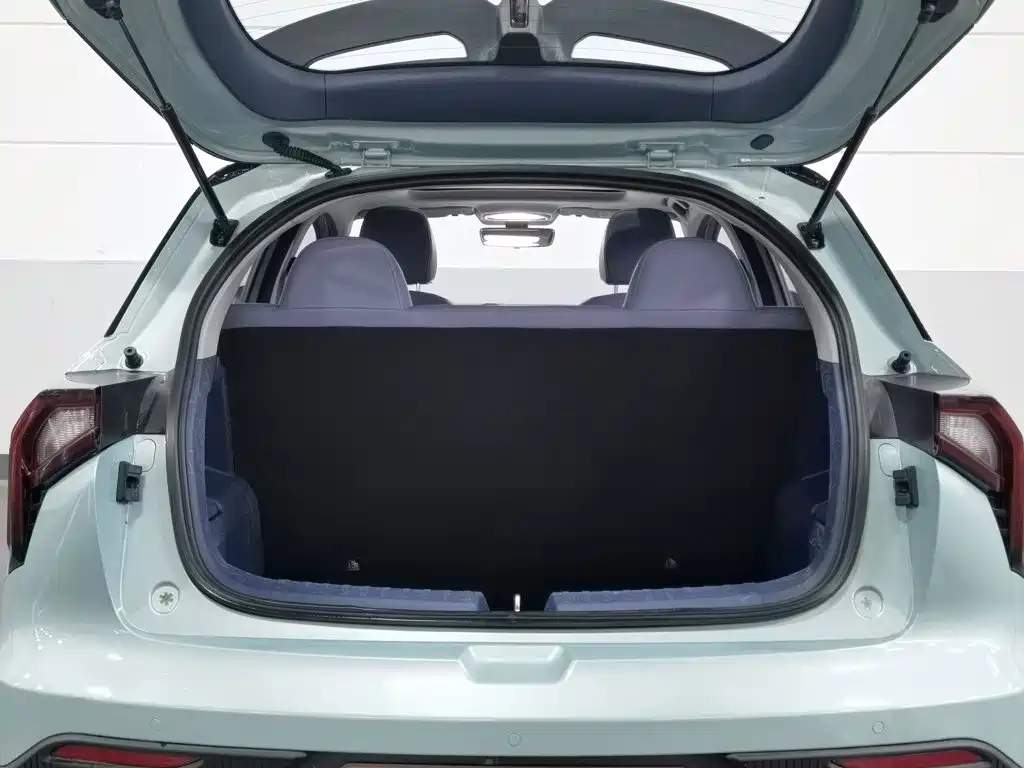 Geely Geometry E Firefly 2023 2022 401KM Delicate Tiger 4-seater