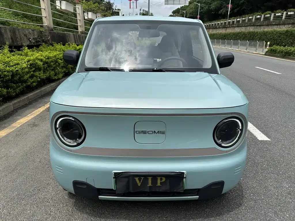 Geely Galaxy Panda 2023 2023 Panda Mini 200km Endurance Bear