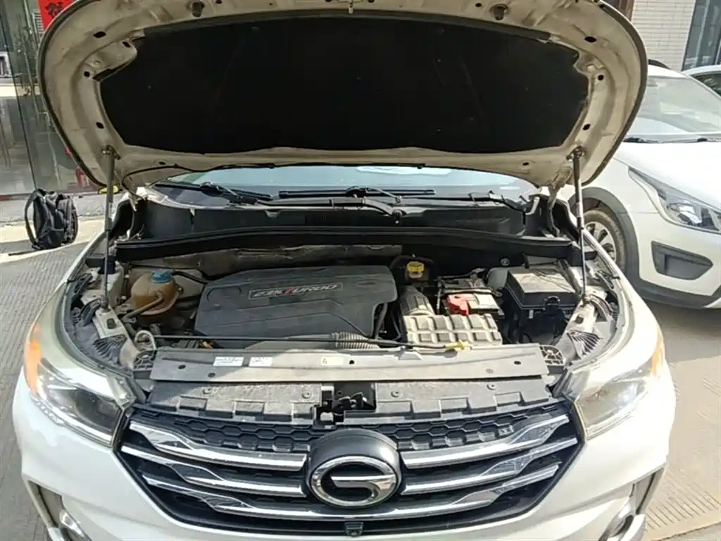 GAC Trumpchi Trumpchi GS4 2017 235T Automatic 2WD Luxury Smart Connected Edition фото 19