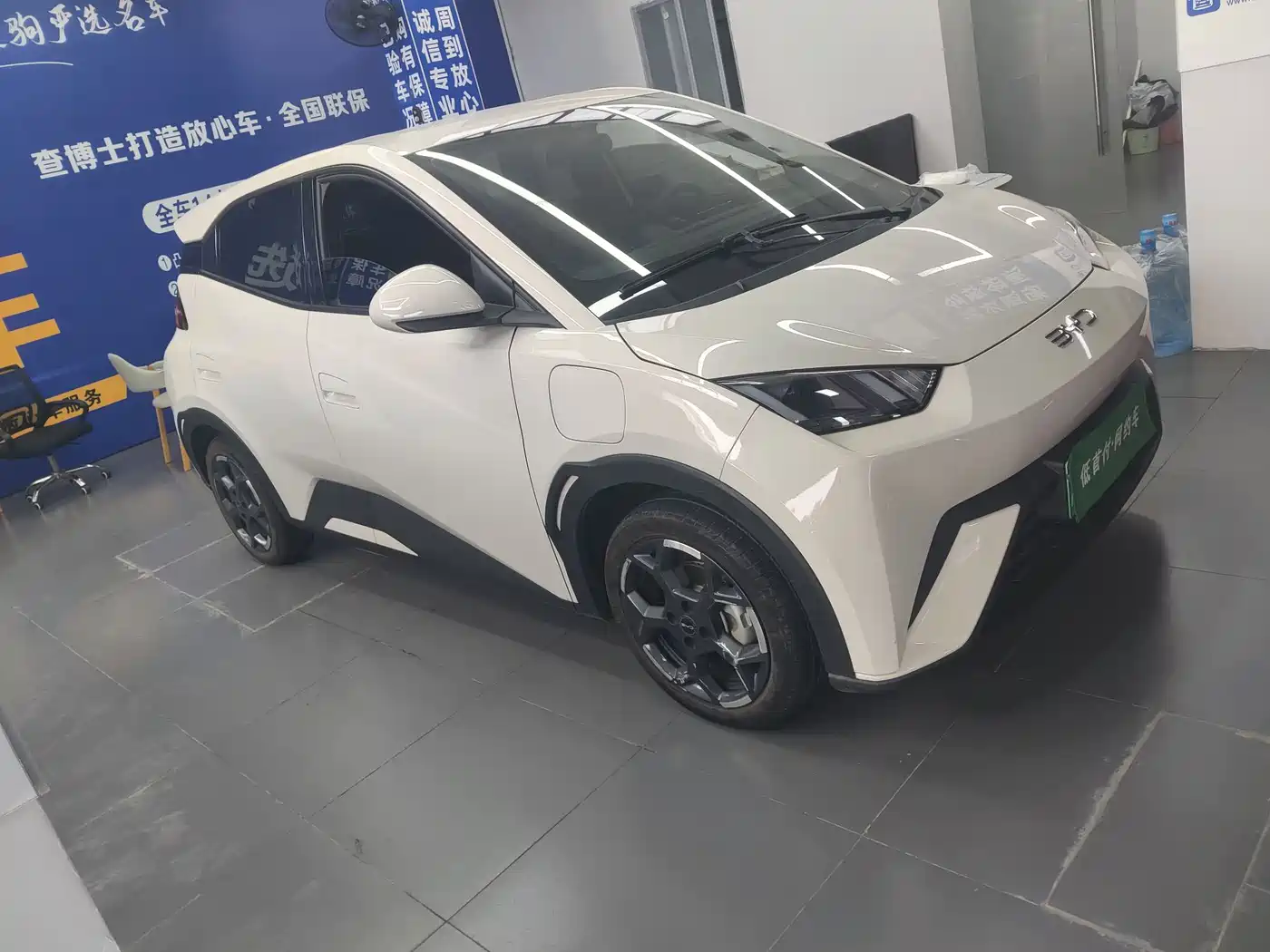 BYD Seagull 2024 Glory Edition 405km Soaring Edition фото 2