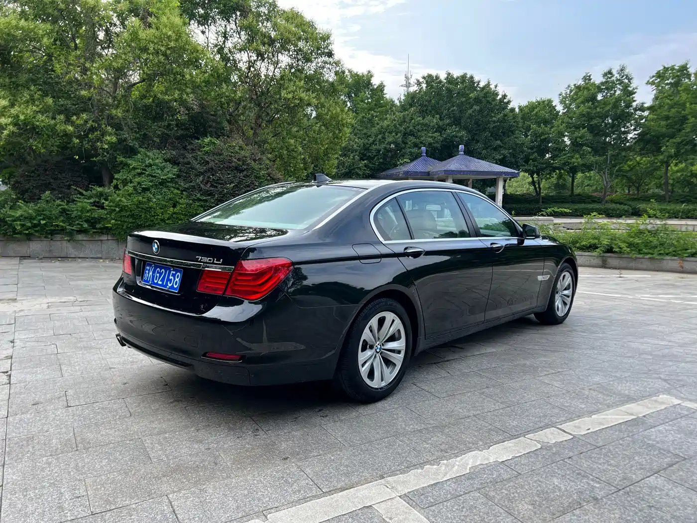 BMW 7 Series 2009 730Li Leading фото 5