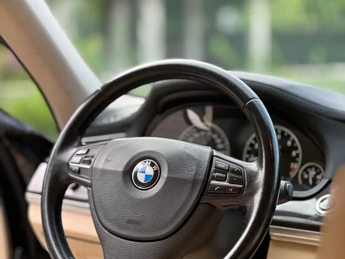 BMW 7 Series 2009 730Li Leading фото 18