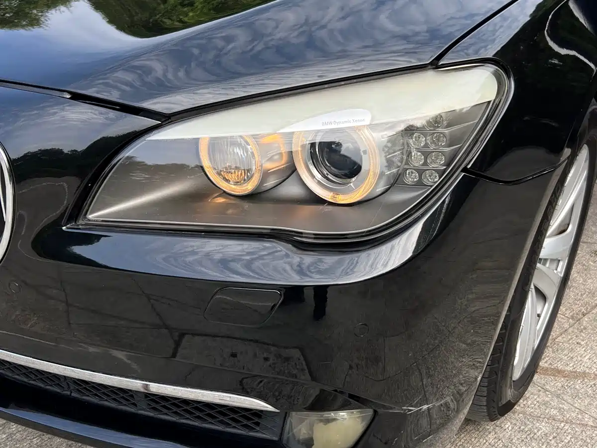 BMW 7 Series 2009 730Li Leading фото 24