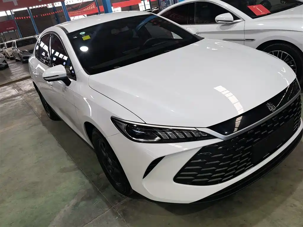 BYD Qin PLUS 2025 DM-i Smart Drive 55KM Leader фото 22