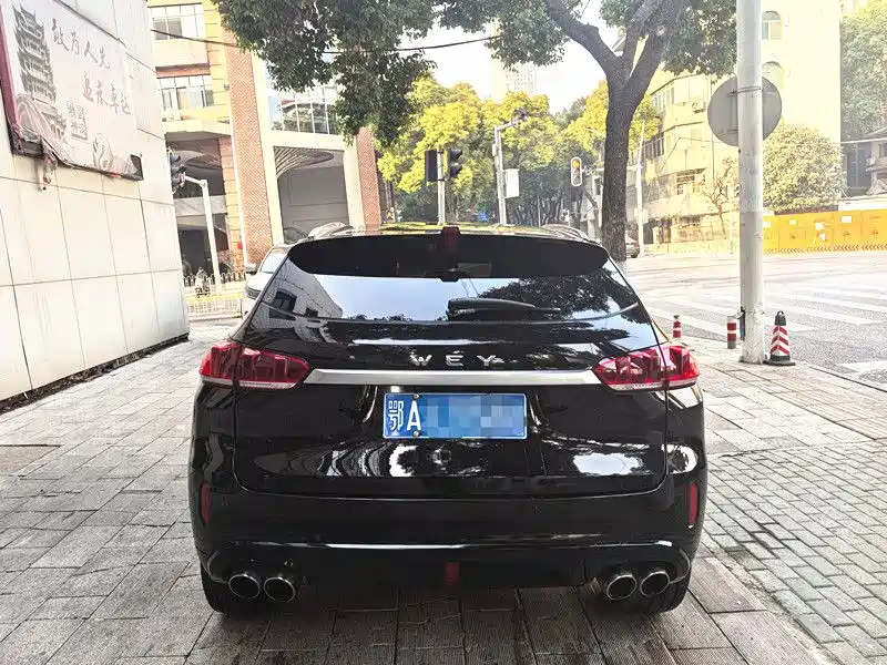 WEI PAI WEI BRAND VV5