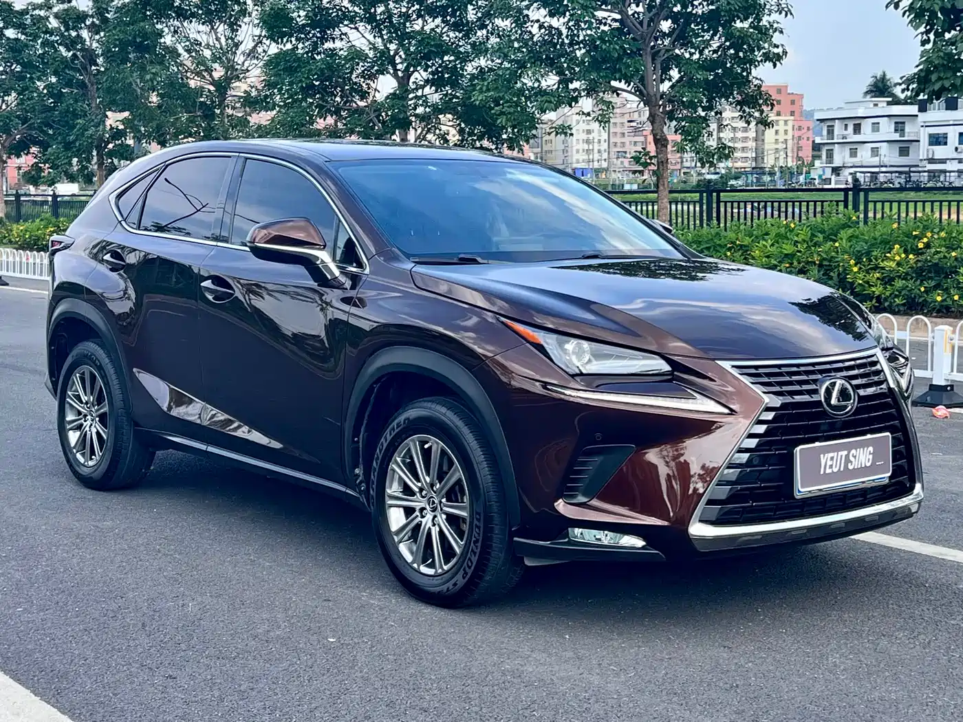 Lexus NX 2020 200 FWD Sharp Edition China V фото 3