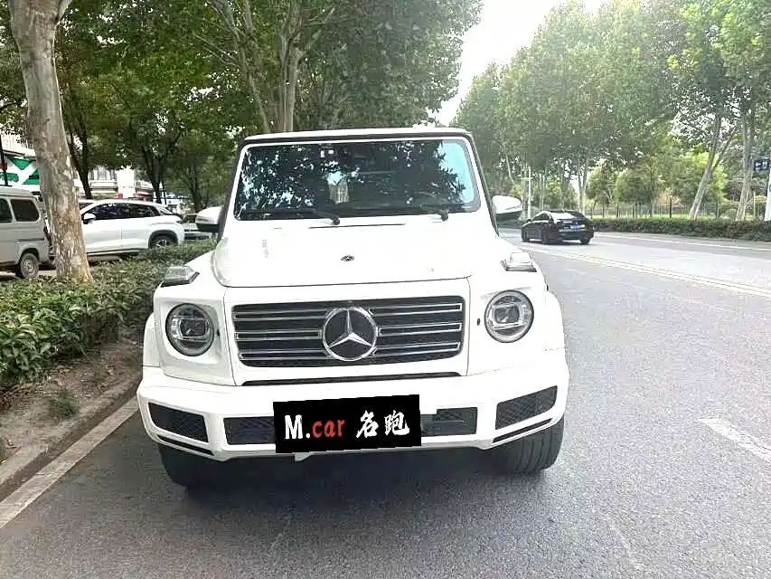 Mercedes-Benz G-Class 2020 G 500 фото 2